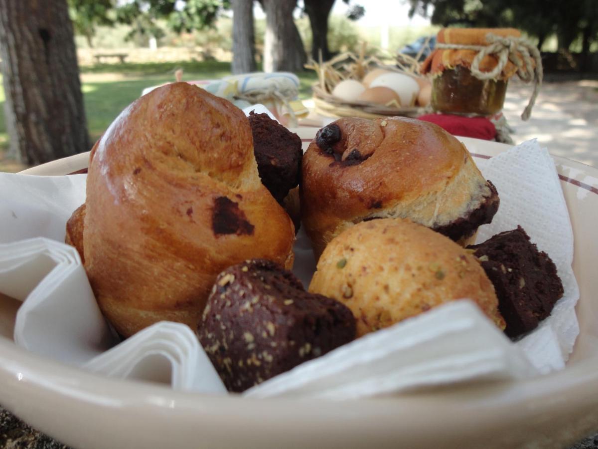 Cefalicchio B&B Canosa di Puglia Exteriör bild