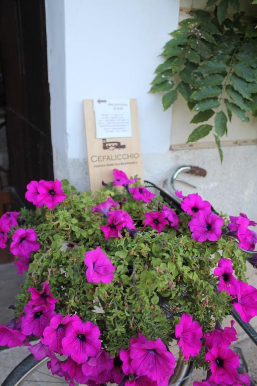 Cefalicchio B&B Canosa di Puglia Exteriör bild