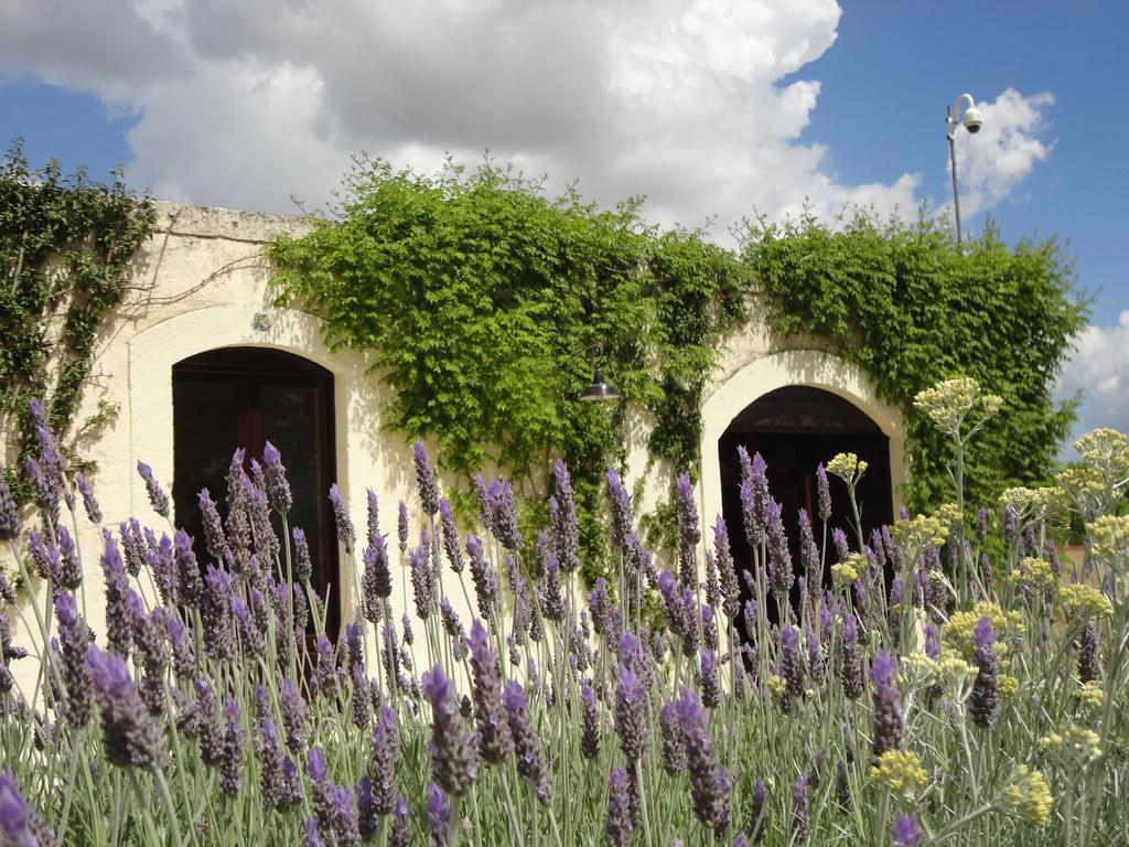 Cefalicchio B&B Canosa di Puglia Exteriör bild